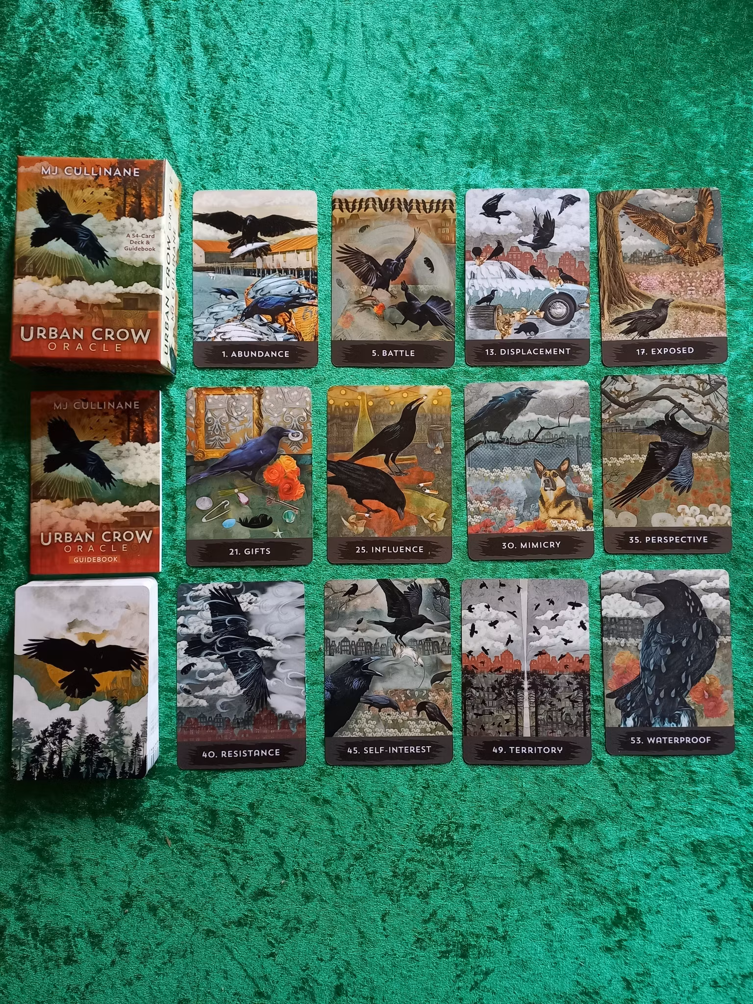 Urban Crow Oracle