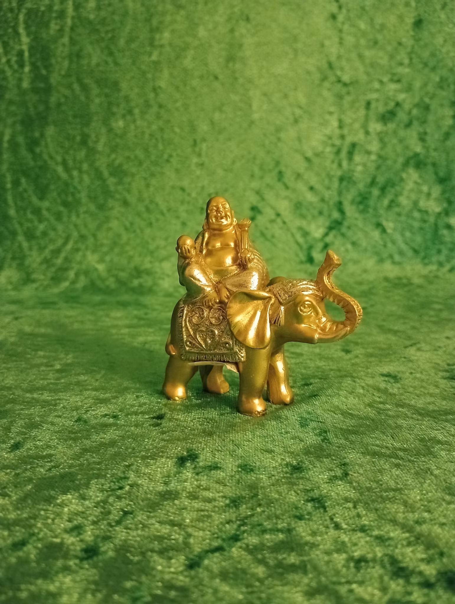 Silver Buddha ridande