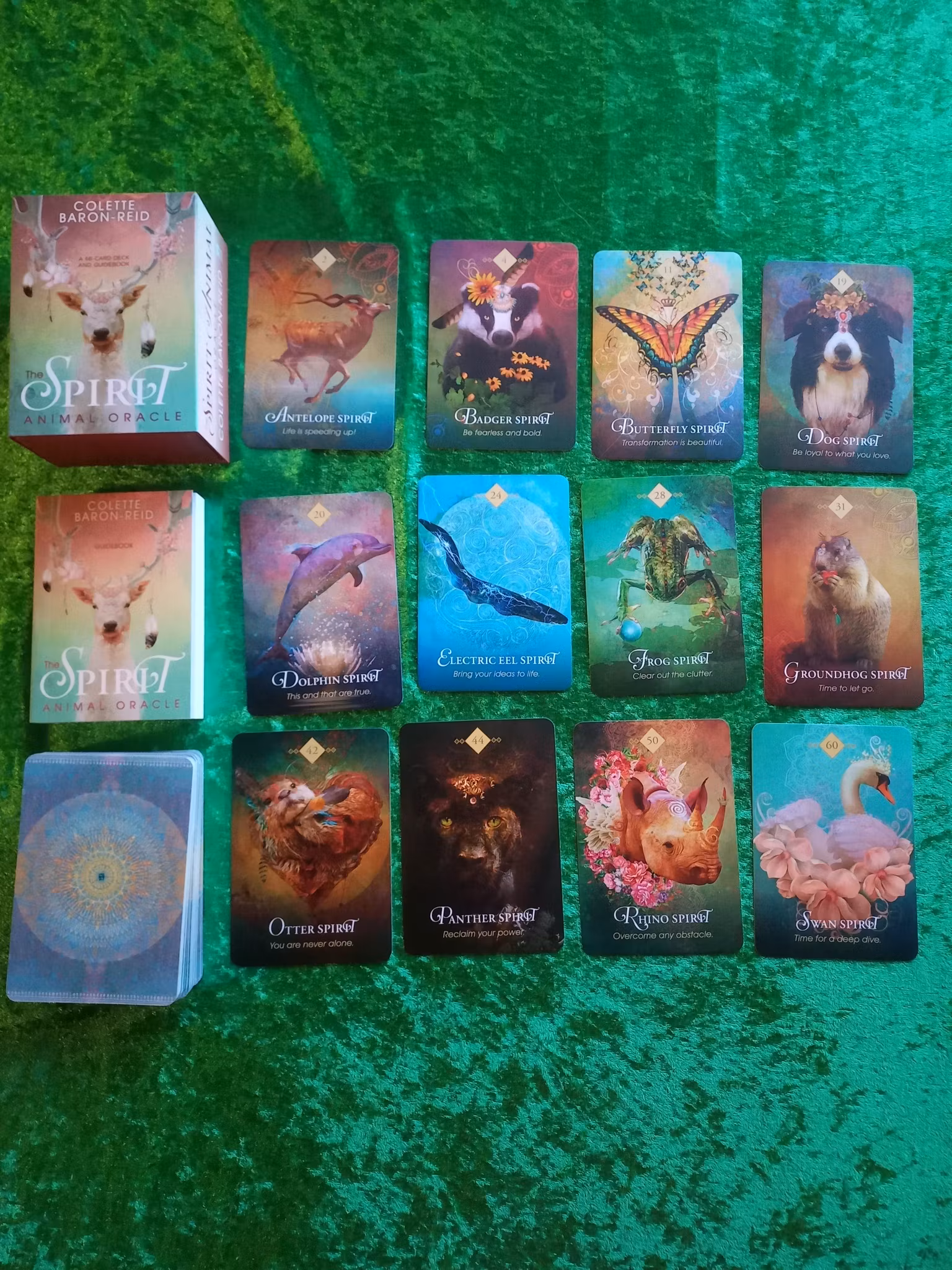 The Spirit Animal Oracle