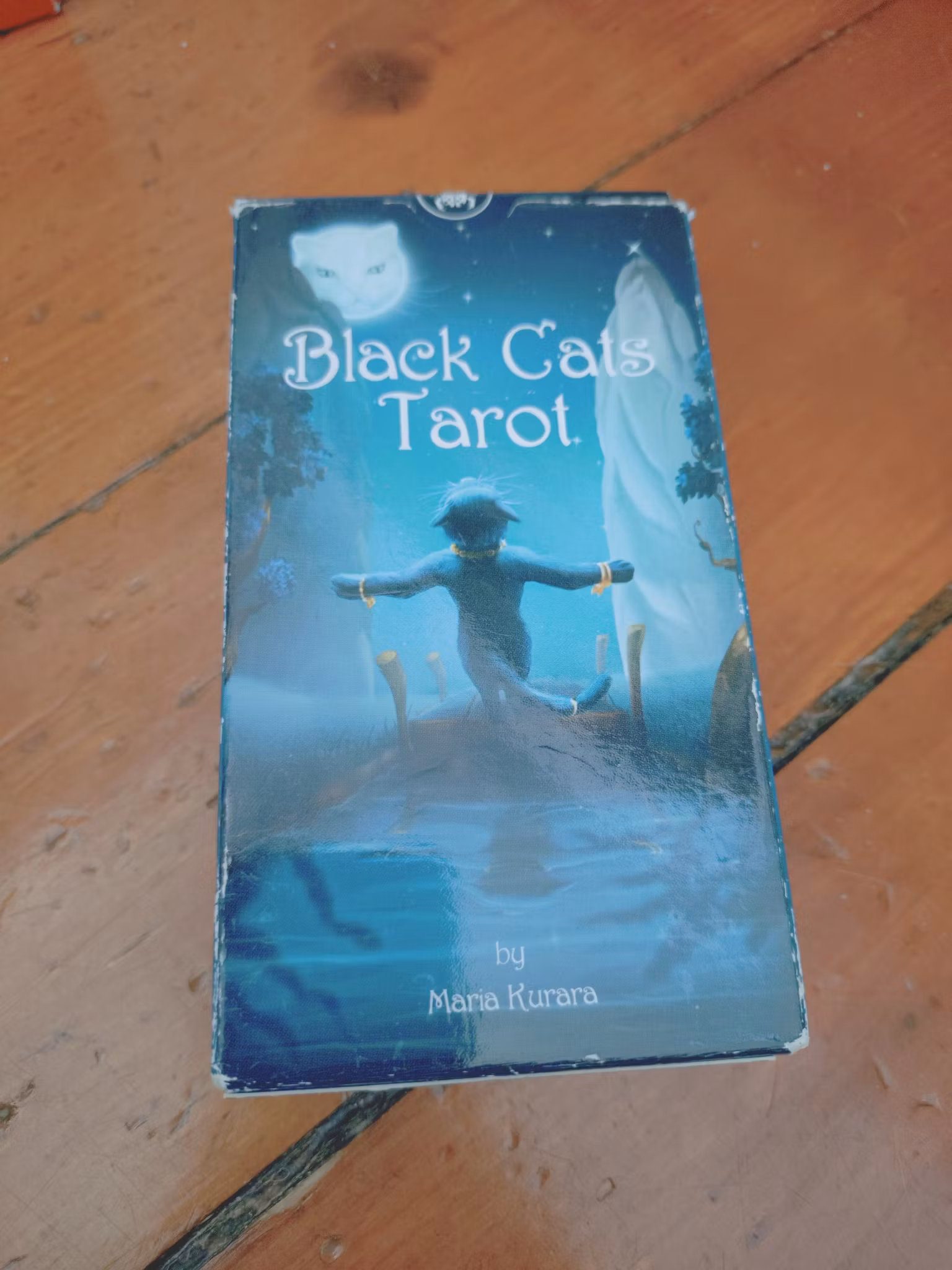 Black Cats Tarot