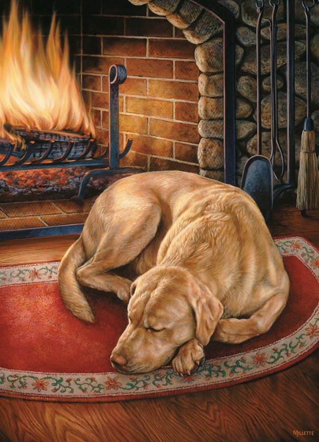 Home Is Where The Dog Is (1000)