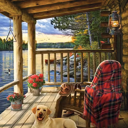 Cabin Porch (1000)