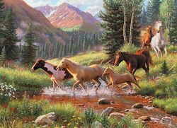 Mountain Thunder (1000)