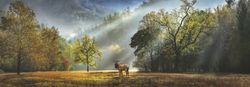 Heye - Morning Salute - Edition Alexander von Humboldt - 1000 Bitar pussel
