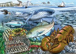 Barnpussel - Life In The Atlantic Ocean, 35 Bitar Rampussel