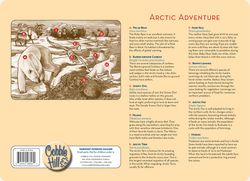 Barnpussel - Artic Adventure, 35 Bitar Rampussel