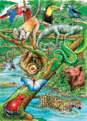 Barnpussel - Life In A Tropical Rainforest, 35 Bitar Rampussel