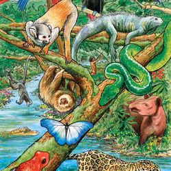 Barnpussel - Life In A Tropical Rainforest, 35 Bitar Rampussel