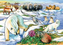 Barnpussel - Artic Adventure, 35 Bitar Rampussel