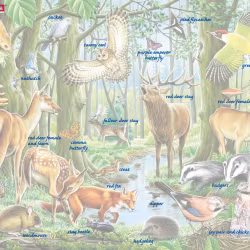 Barnpussel - Nordiska Djurarter i Skogen, 40 Bitar Rampussel