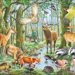 Barnpussel - Nordiska Djurarter i Skogen, 40 Bitar Rampussel