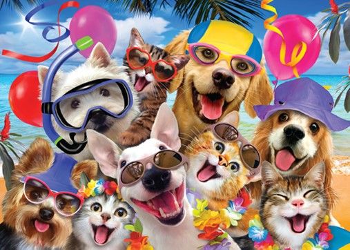Dubbelsidigt pussel - Beach Party, 500 Bitar