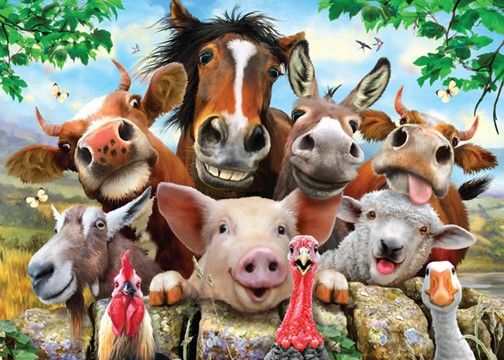 Dubbelsidigt pussel - Selfie Farm Friends, 500 Bitar