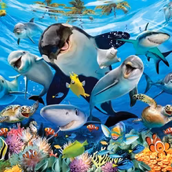 Cheatwell - Selfie Ocean Pals - Dubbelsidigt pussel - 500 Bitar