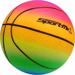 Basketboll Multicolor Stor