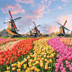 Cheatwell - Väderkvarnar, Nederländerna - Pussel 1000 bitar - Mini pussel