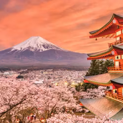 Cheatwell - Fuji, Japan - Pussel 1000 bitar - Mini pussel