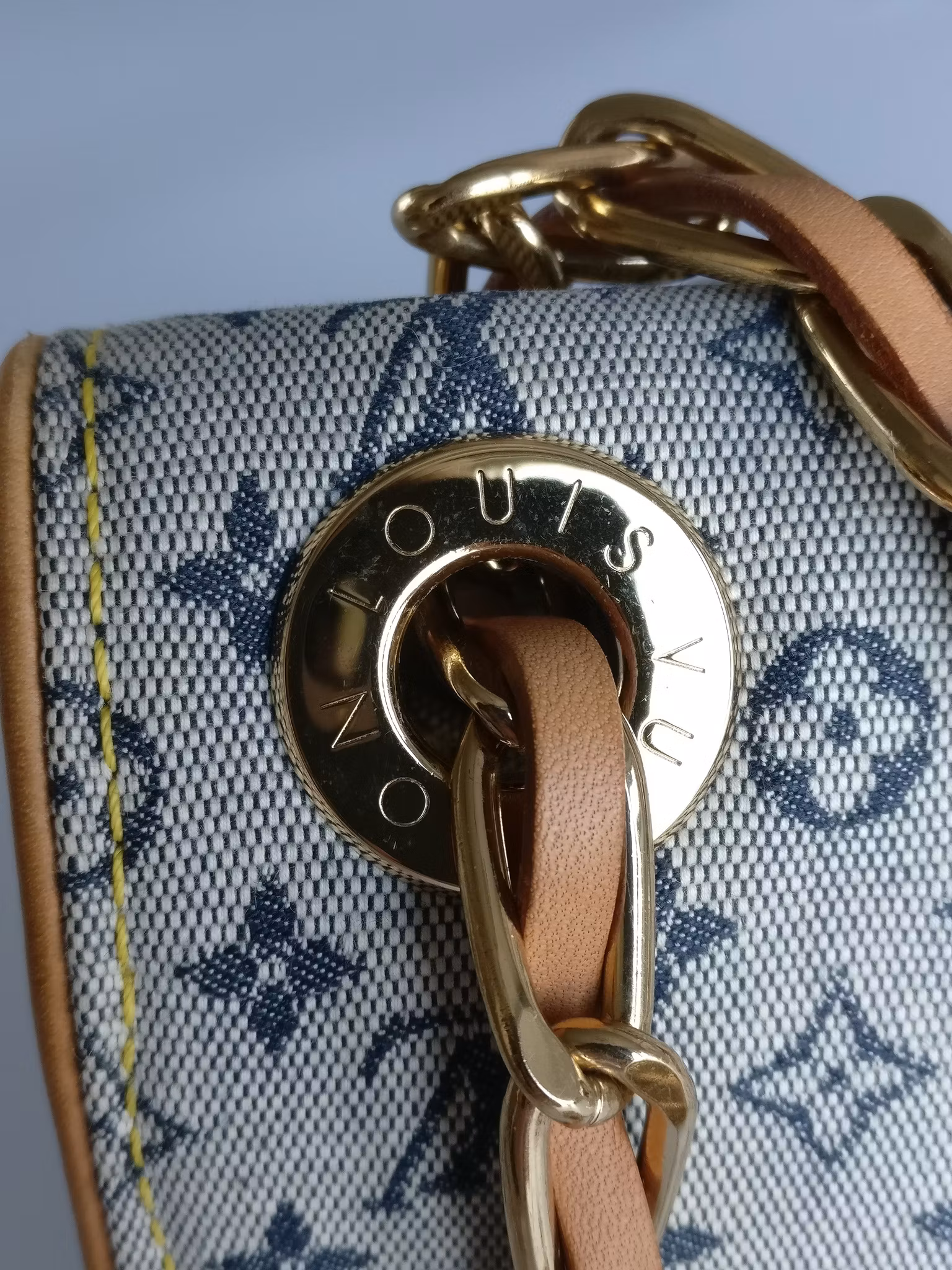 Louis Vuitton Mini Lin Camille