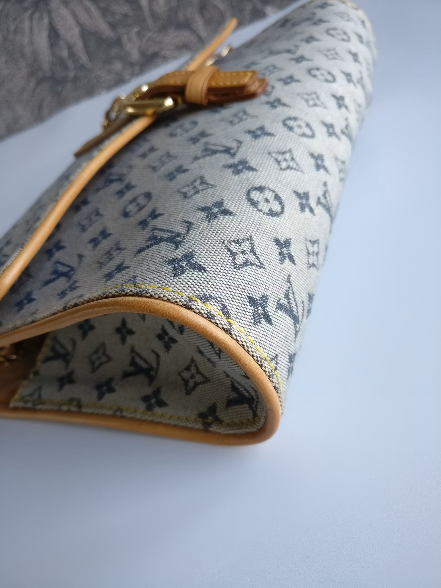 Louis Vuitton Mini Lin Camille