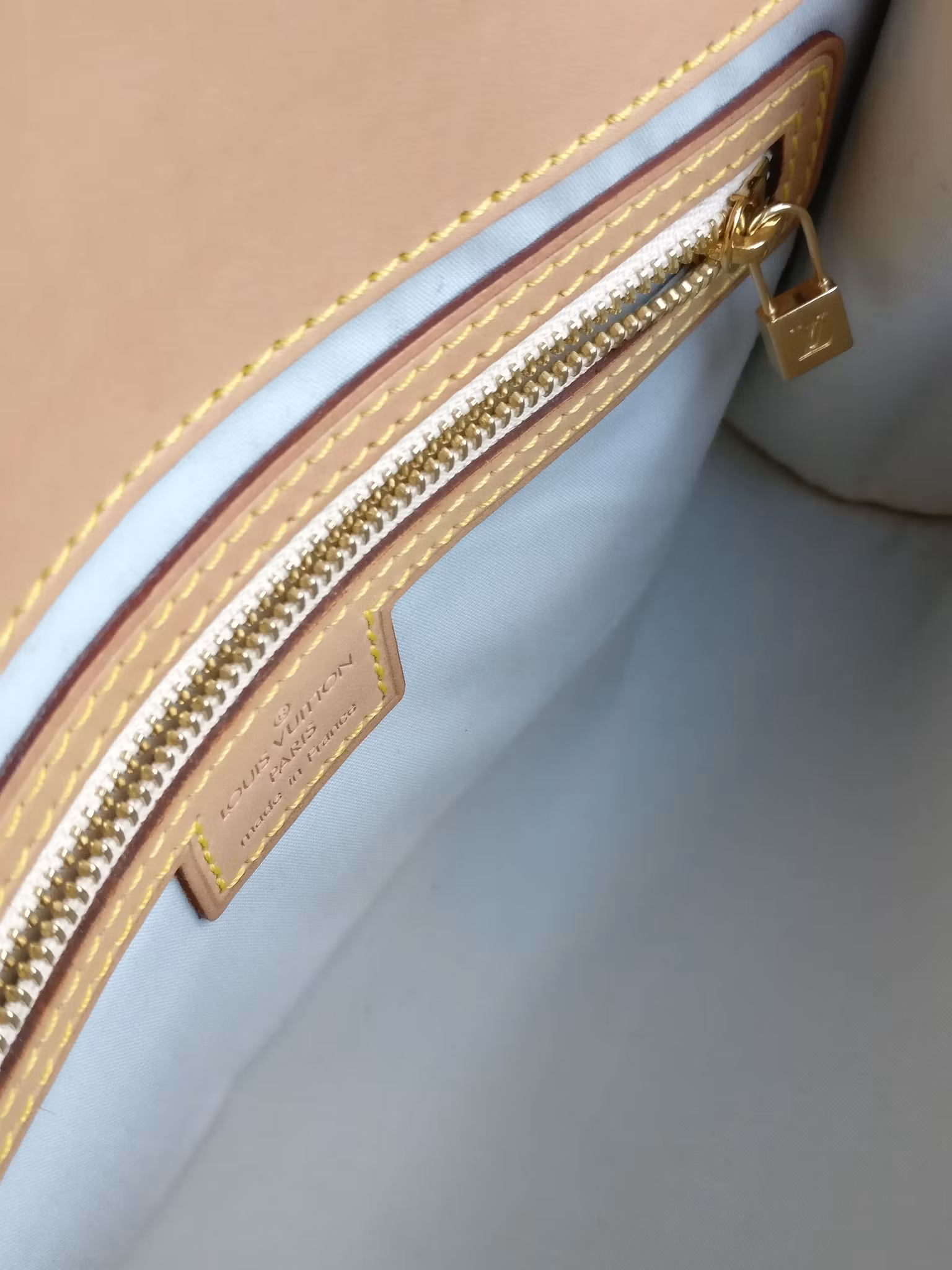 Louis Vuitton Mini Lin Camille