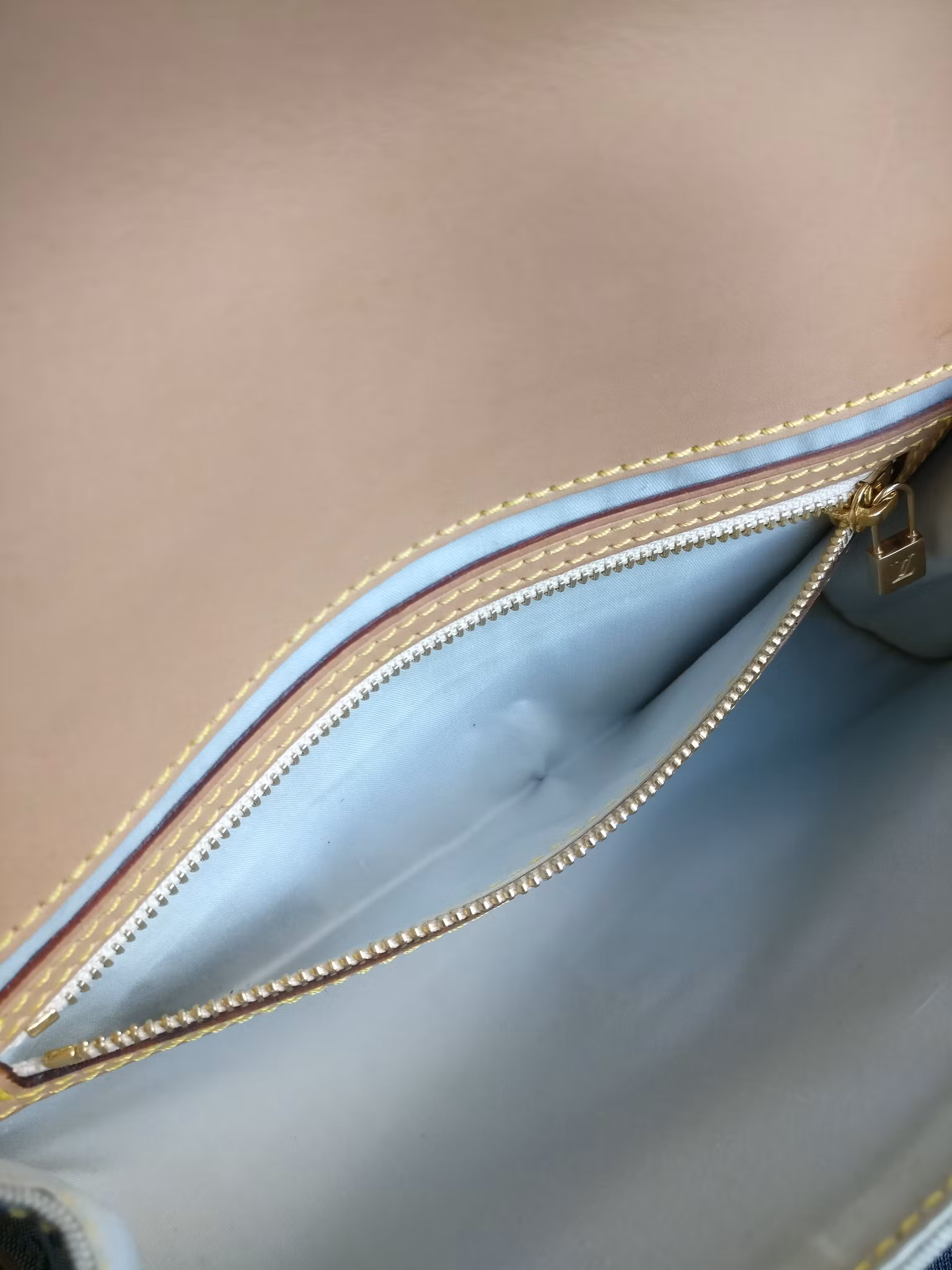 Louis Vuitton Mini Lin Camille