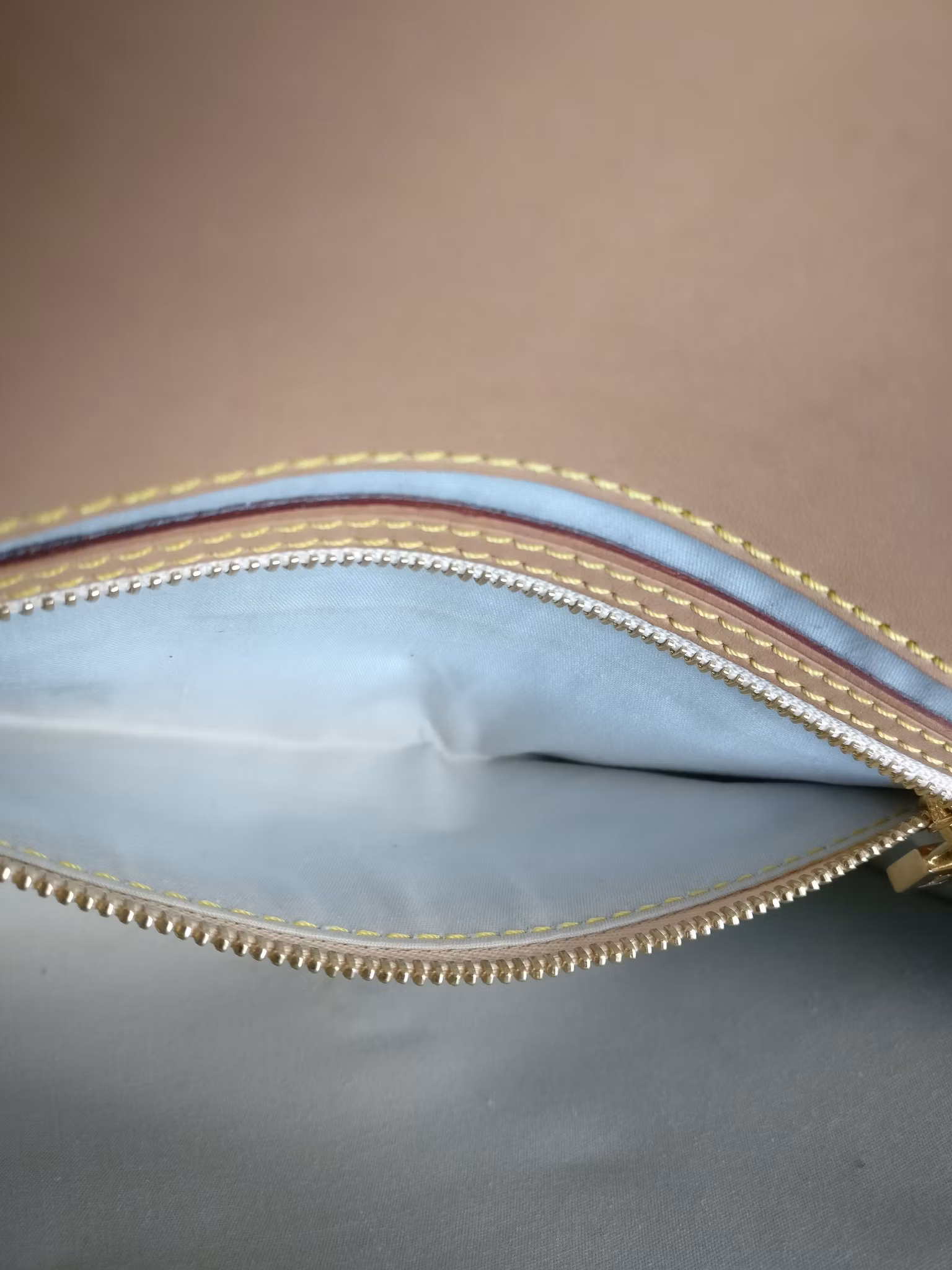 Louis Vuitton Mini Lin Camille