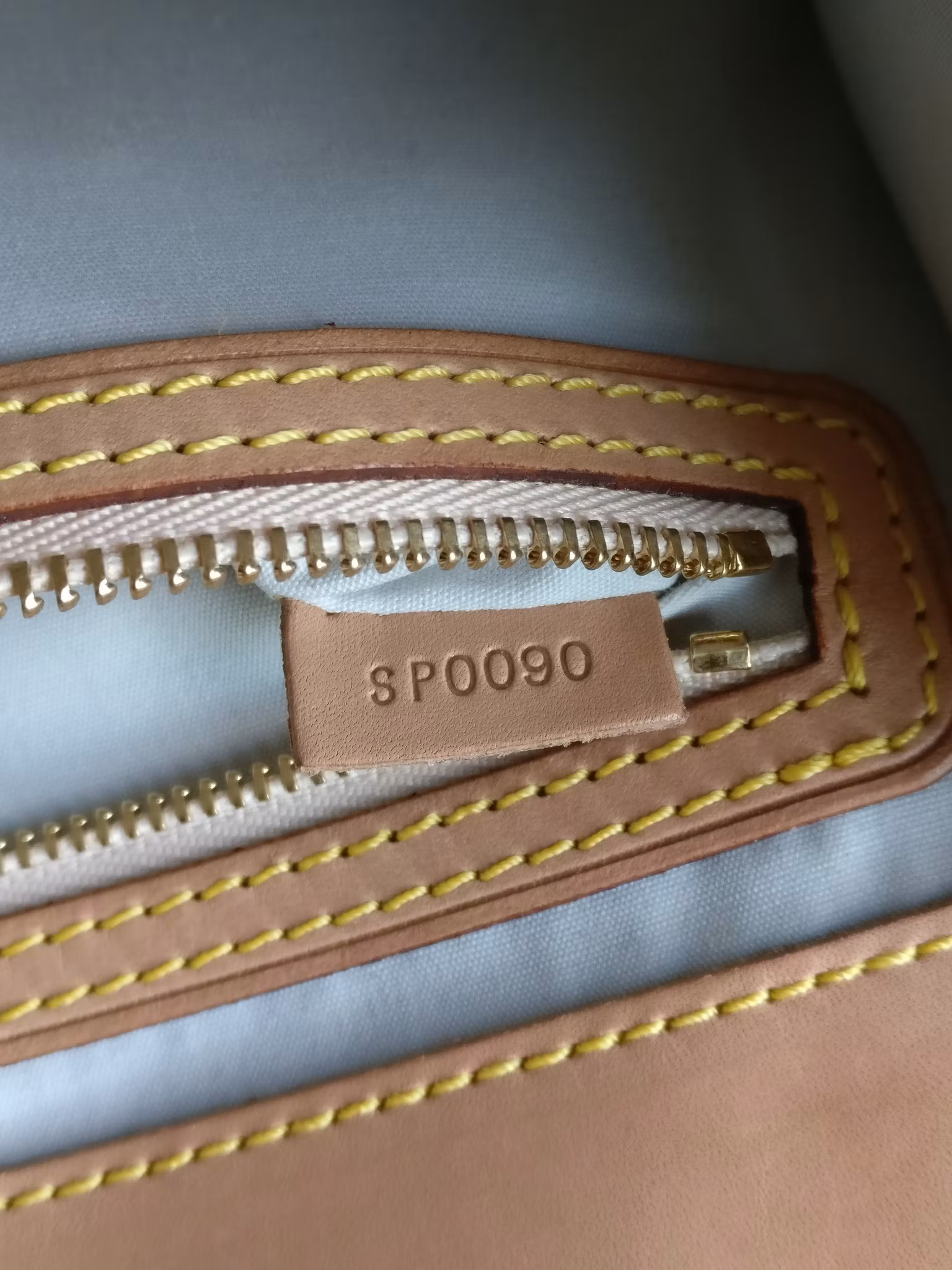 Louis Vuitton Mini Lin Camille