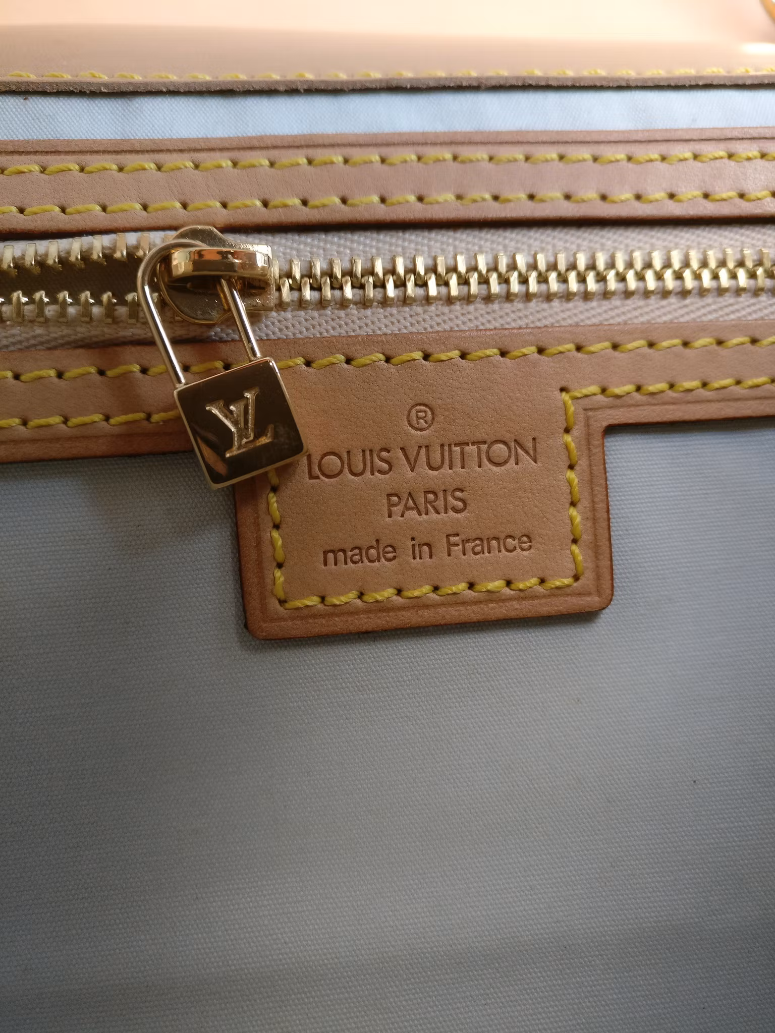 Louis Vuitton Mini Lin Camille