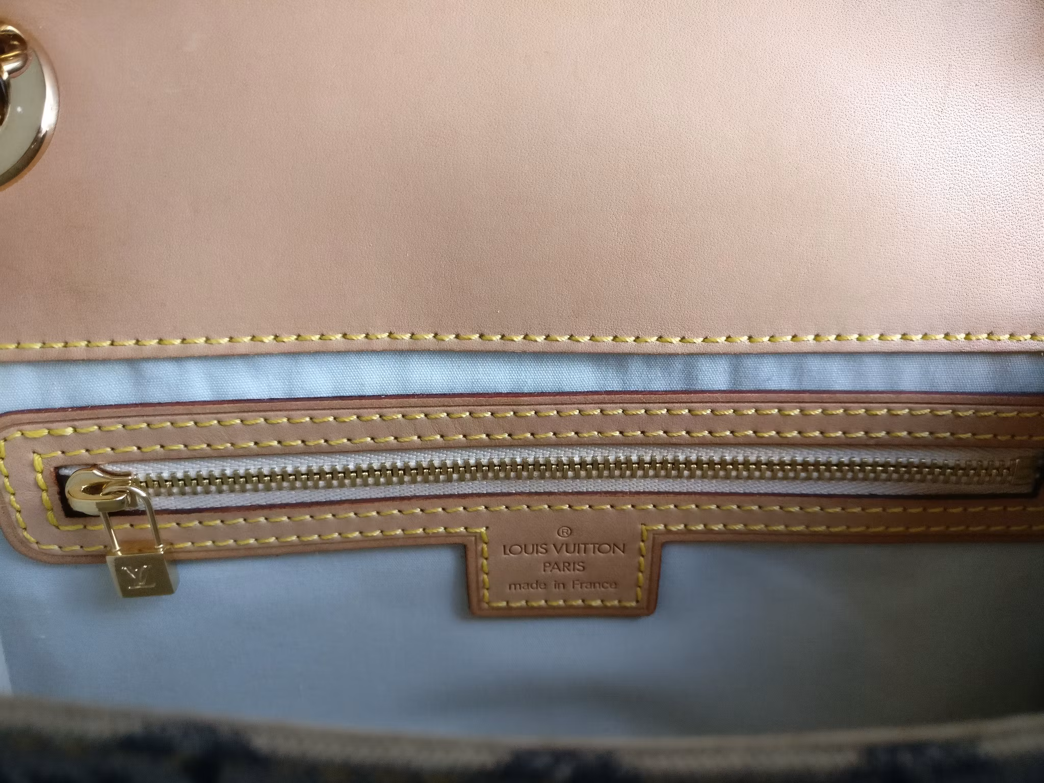 Louis Vuitton Mini Lin Camille