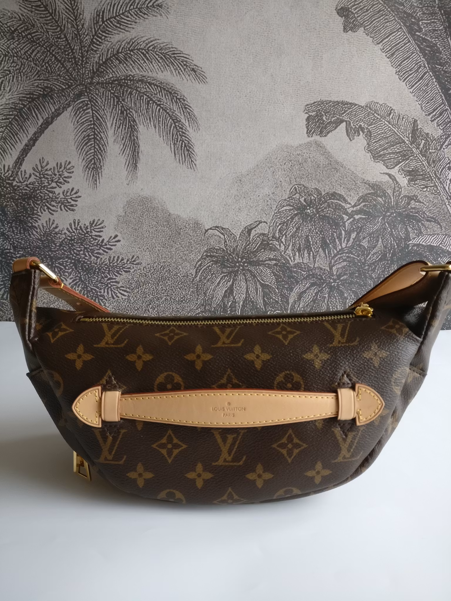 Louis Vuitton Bumbag