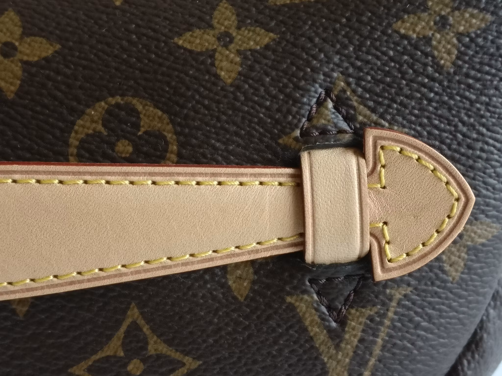 Louis Vuitton Bumbag