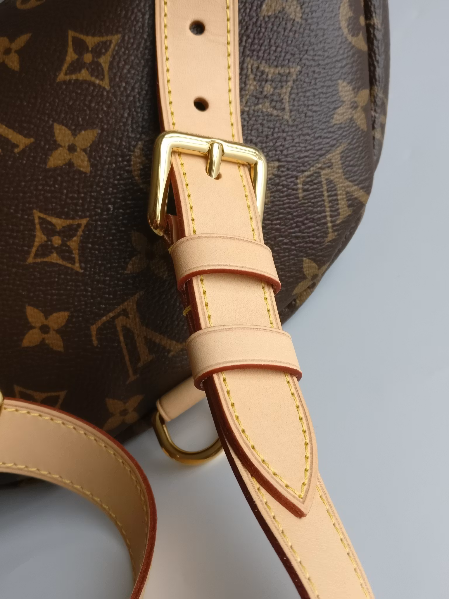 Louis Vuitton Bumbag