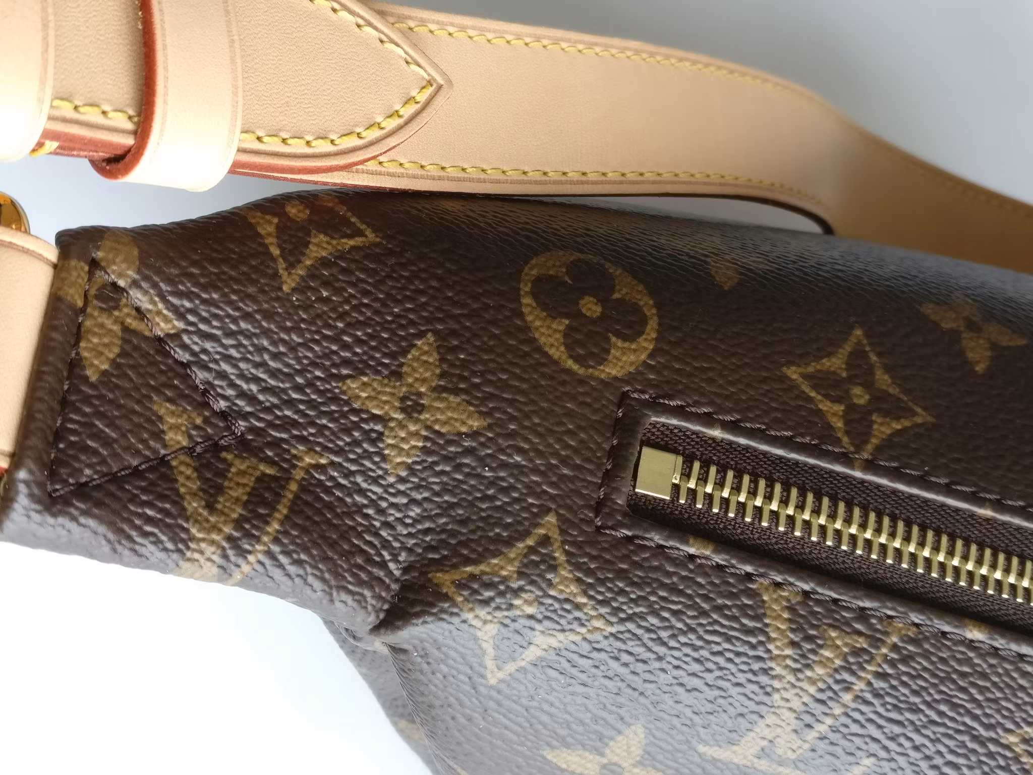 Louis Vuitton Bumbag