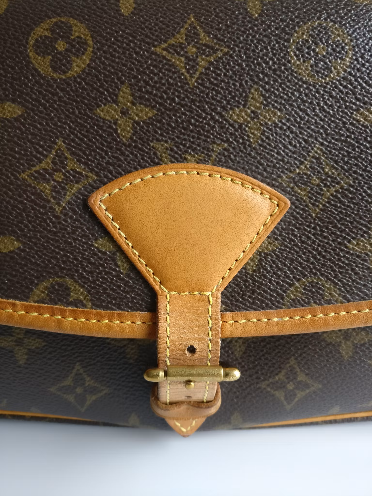 Louis Vuitton Sologne