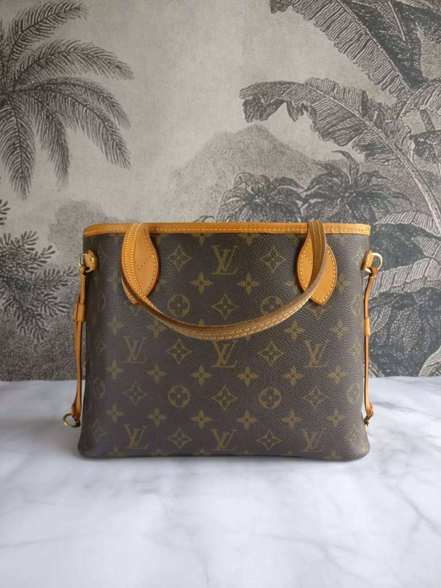 Louis Vuitton Neverfull PM