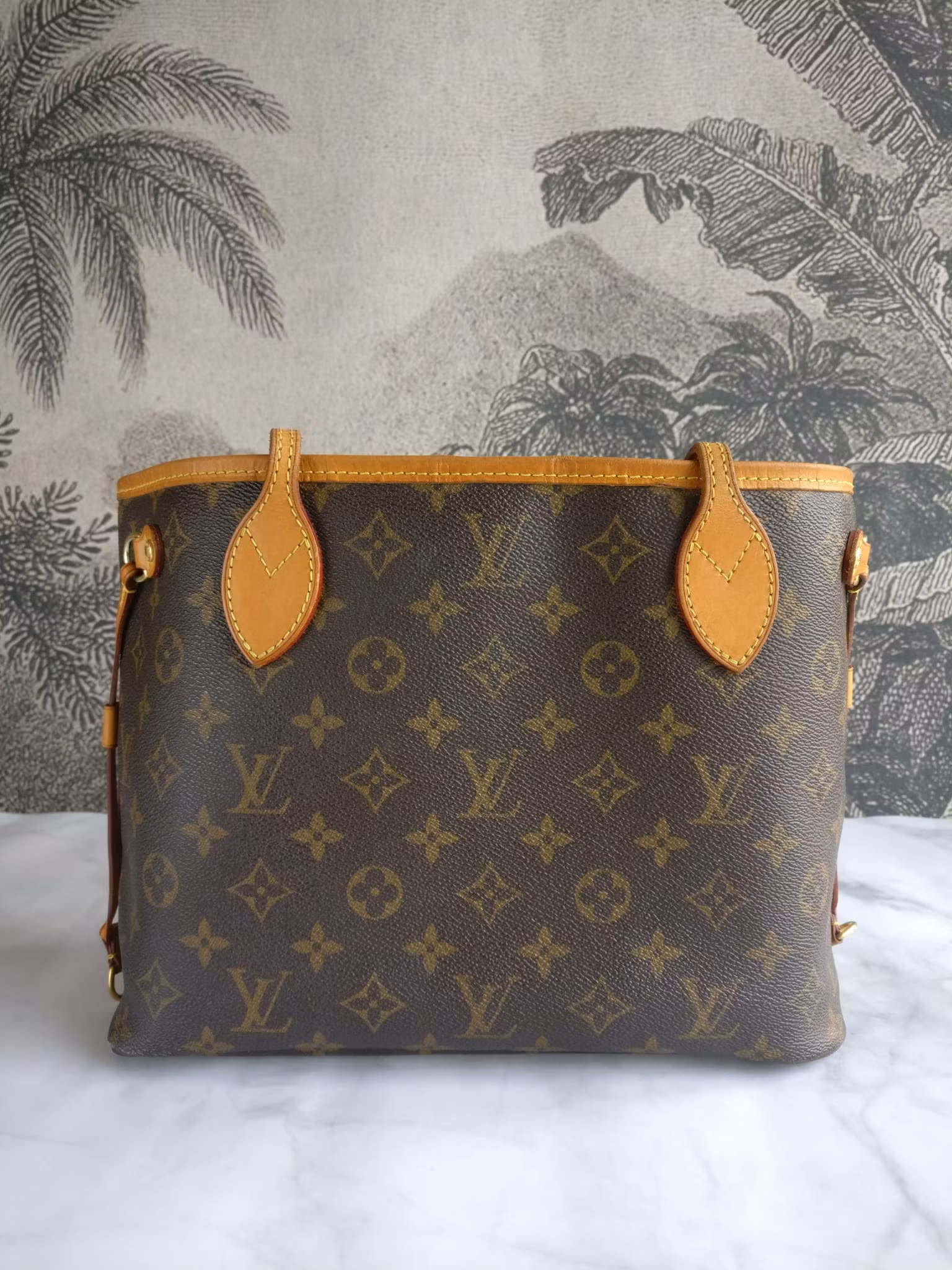 Louis Vuitton Neverfull PM