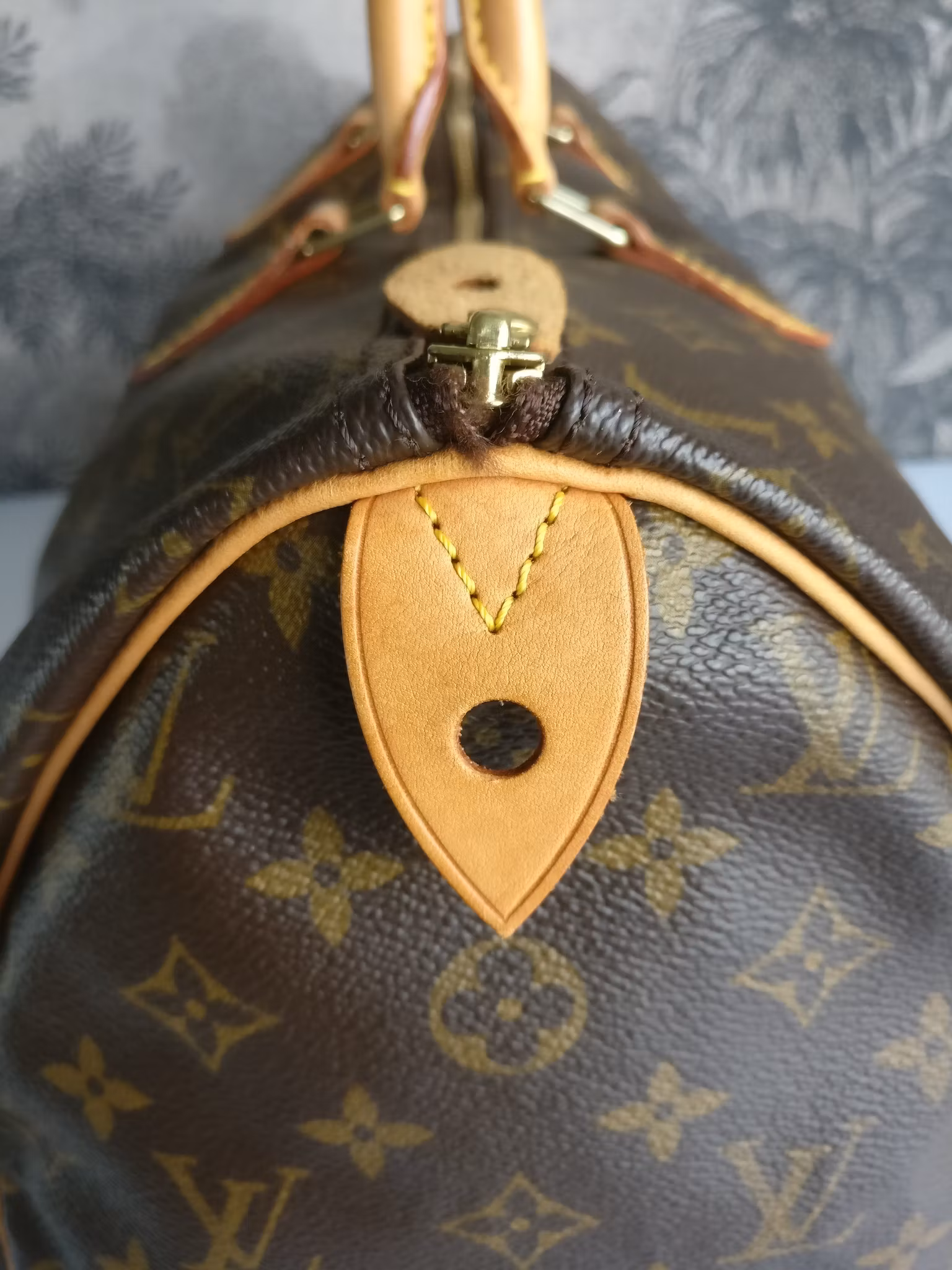 Louis Vuitton Speedy 40