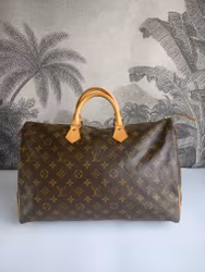 Louis Vuitton Speedy 40