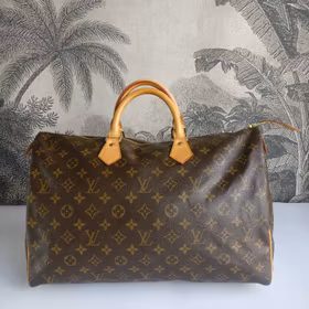 Louis Vuitton Speedy 40