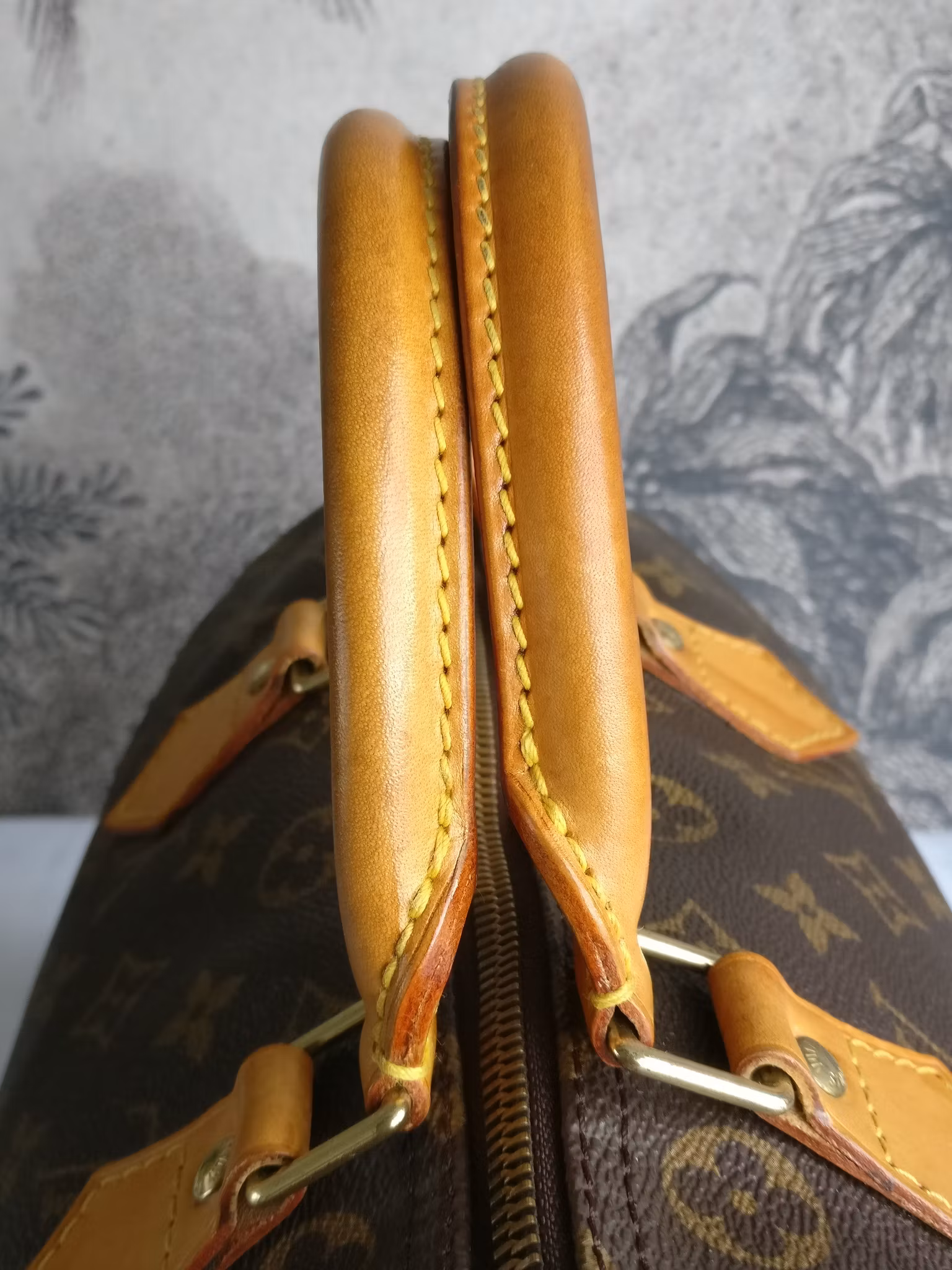 Louis Vuitton Speedy 30