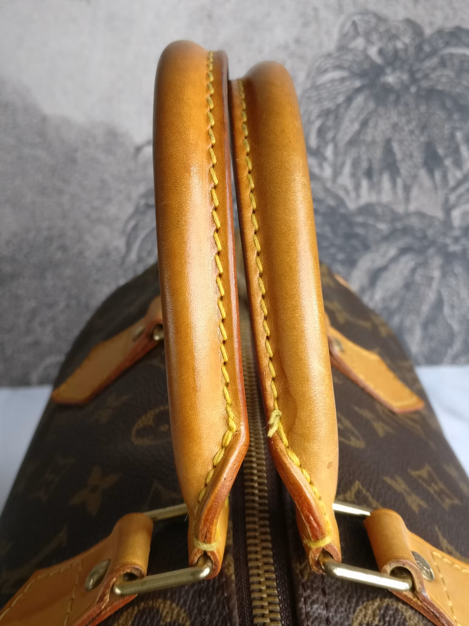 Louis Vuitton Speedy 30