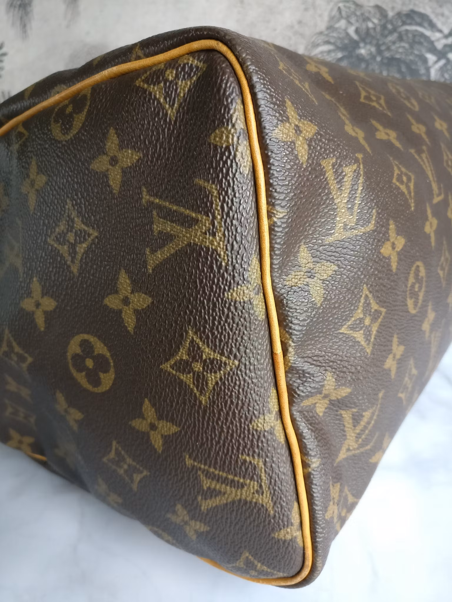 Louis Vuitton Speedy 30