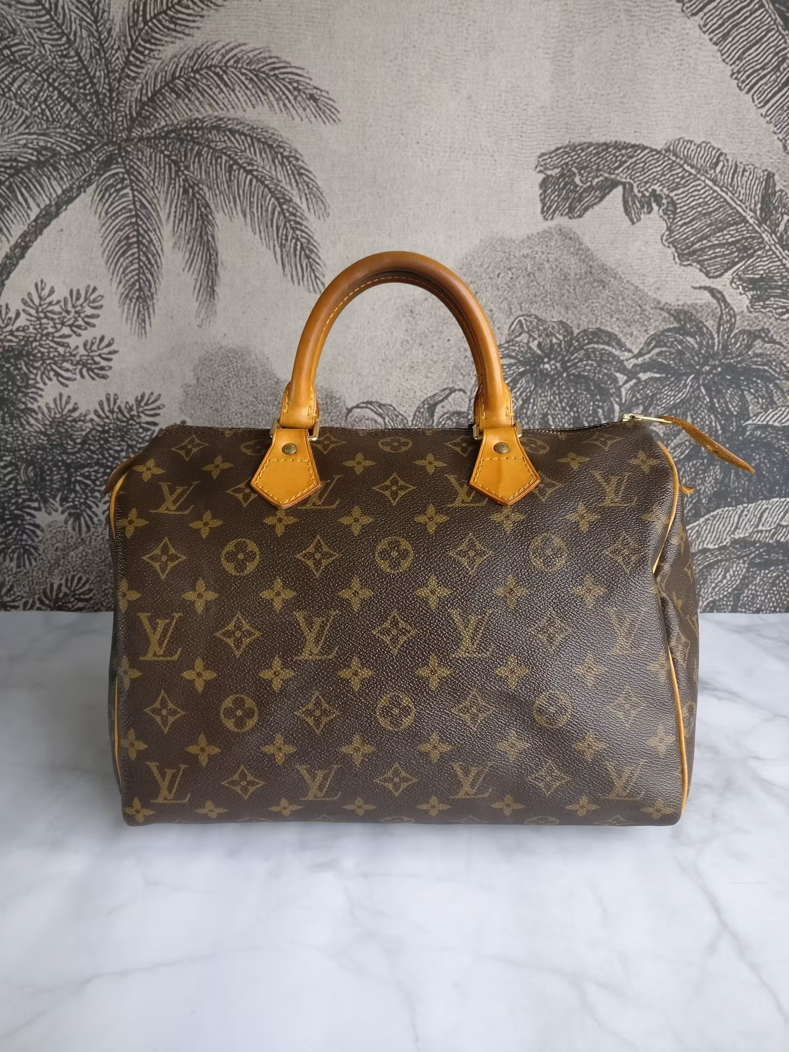 Louis Vuitton Speedy 30