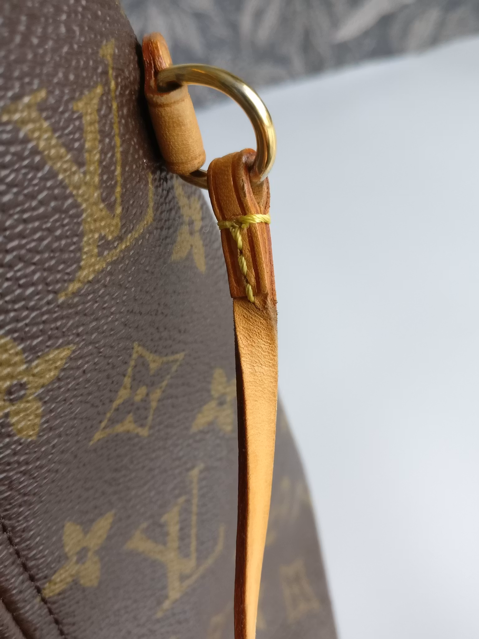 Neverfull PM