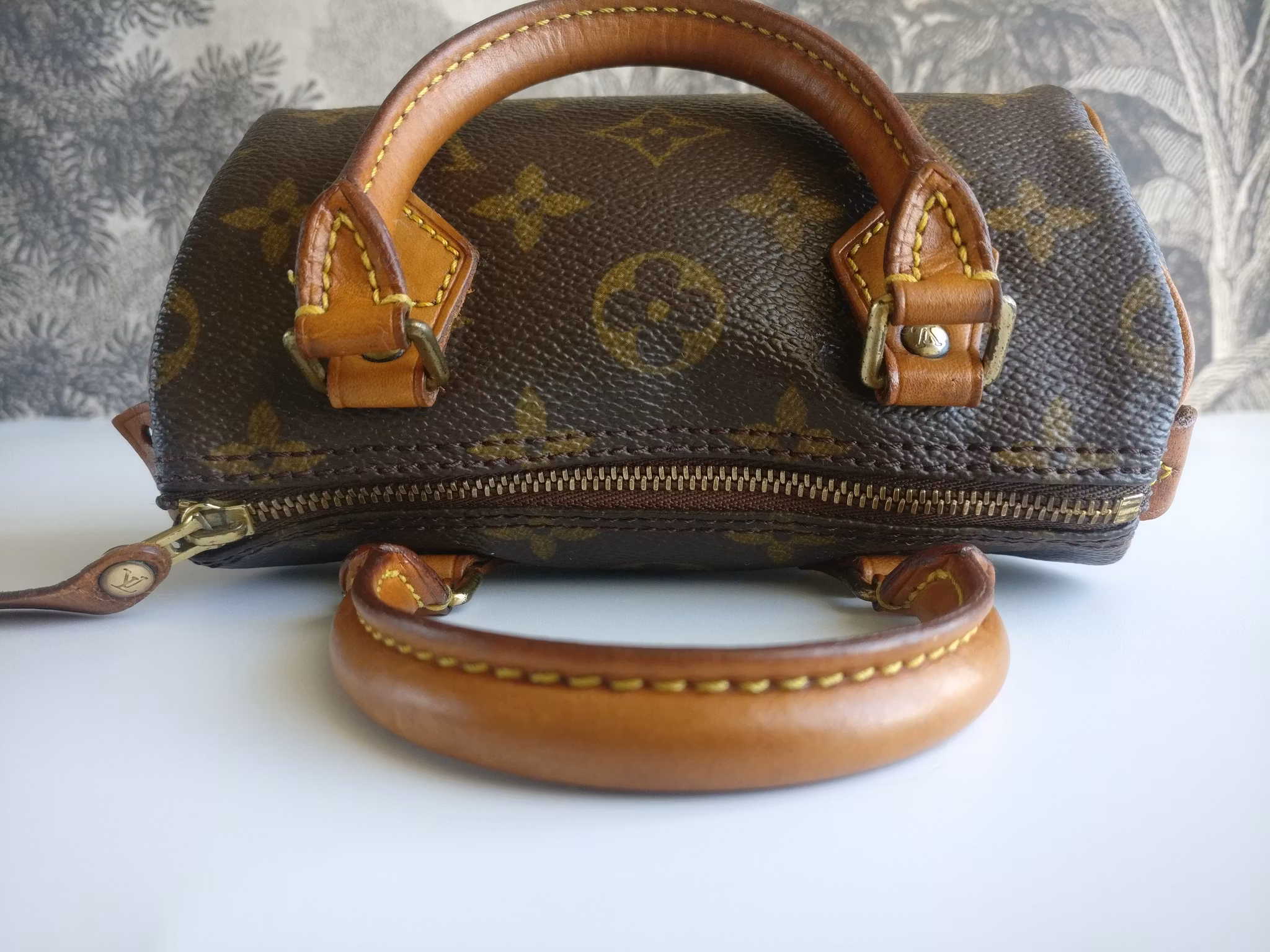 Louis Vuitton Mini Speedy