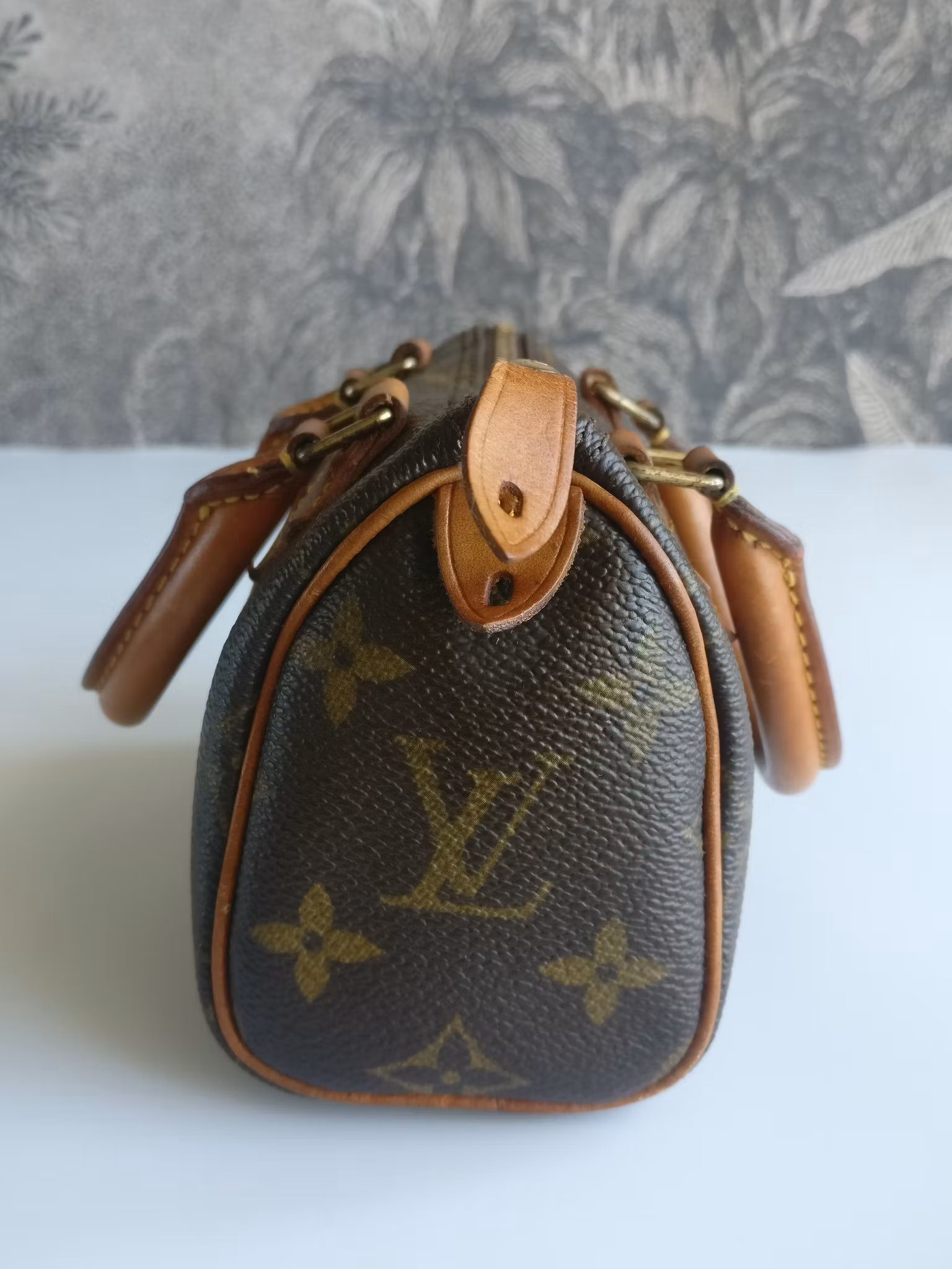 Louis Vuitton Mini Speedy