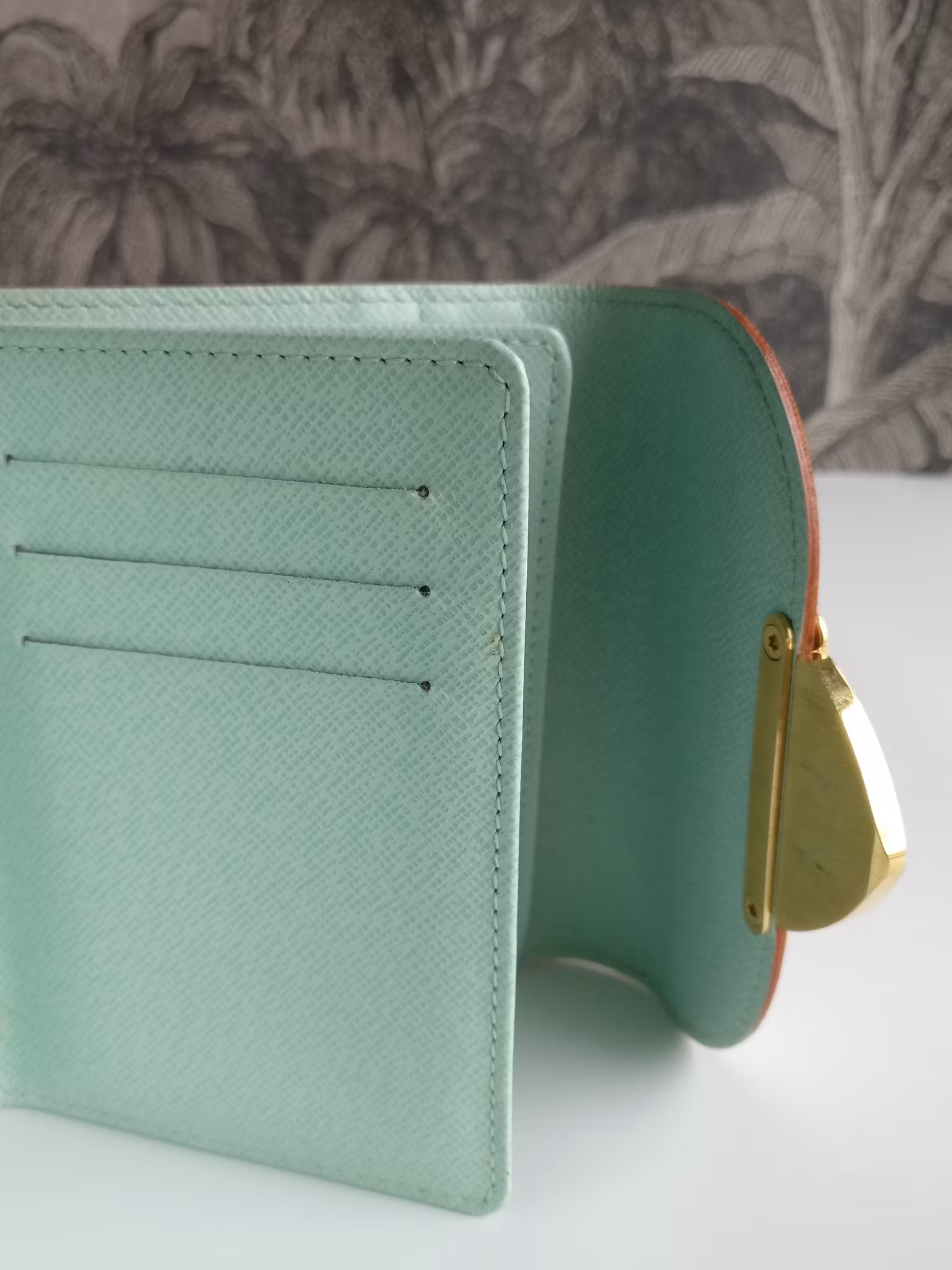 Louis Vuitton Multicolore Koala Wallet