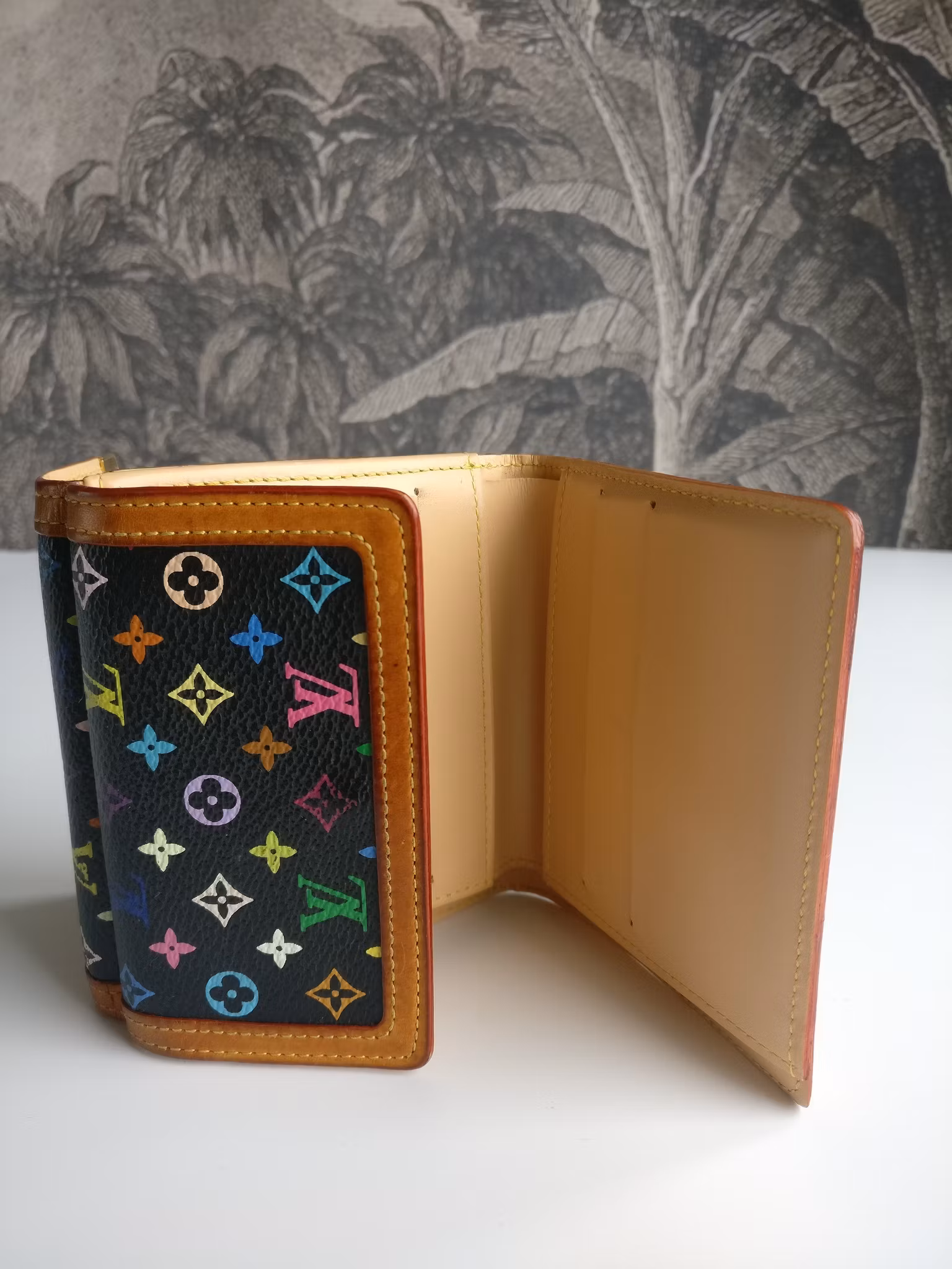 Louis Vuitton Multicolor Porte Monnaie