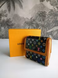 Louis Vuitton Multicolor Porte Monnaie