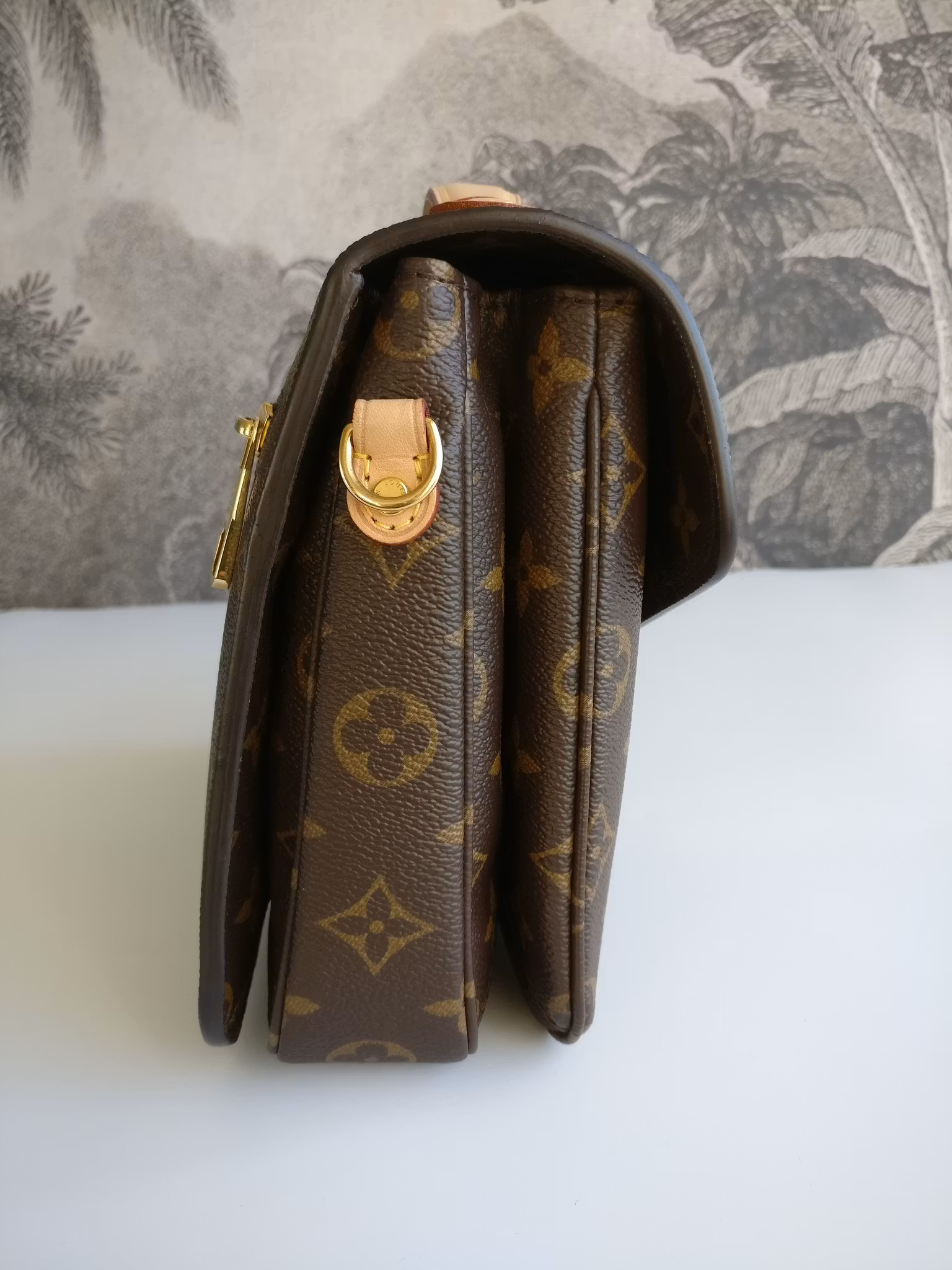 Louis Vuitton Pochette Metis